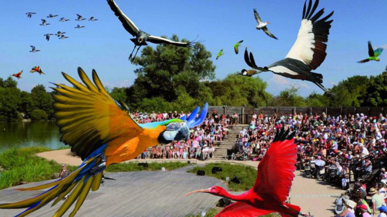 &Eacute;vadez-vous en Auvergne-Rh&ocirc;ne-Alpes au Parc des Oiseaux !