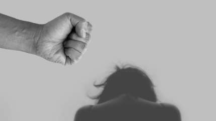 Haute-Savoie : Les violences intrafamiliales en hausse de 7% Haute-Savoie : Les violences intrafamiliales en hausse de 7%