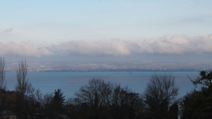 Lac léman : les feras pourraient-elles disparaître ? Lac léman : les feras pourraient-elles disparaître ?