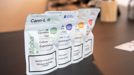 Lausanne: les ventes r&eacute;gul&eacute;es de cannabis satisfaisantes