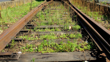 Trains de nuit : les élus de la vallée de l'Arve et du Mont-Blanc se mobilisent Trains de nuit : les élus de la vallée de l'Arve et du Mont-Blanc se mobilisent