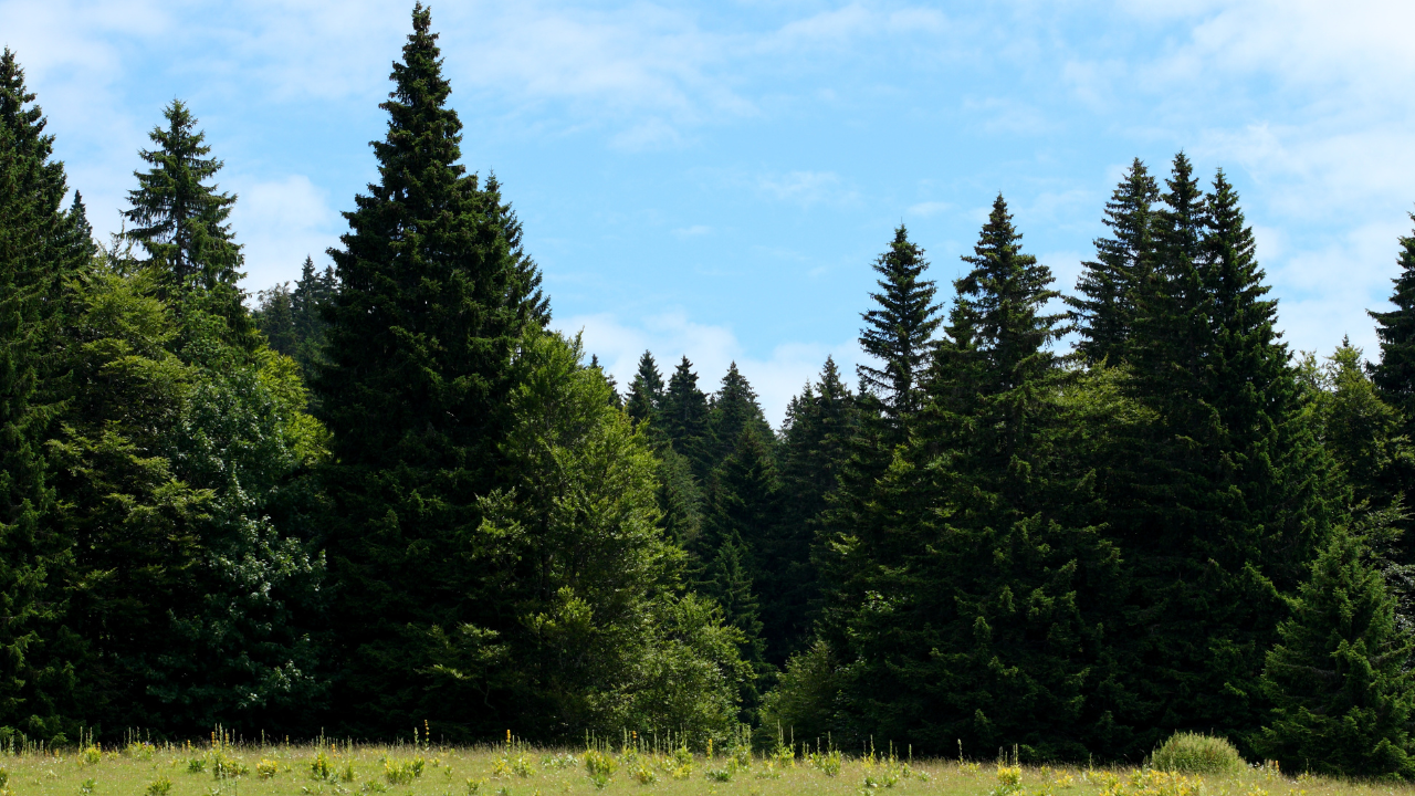 6 endroits magnifiques à découvrir autour de Thonon - Haut-jura